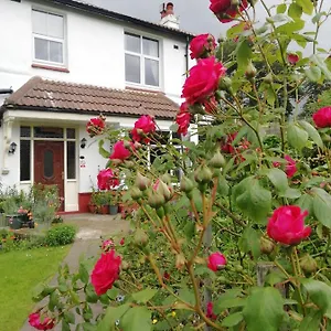 https://beechlands-b-b.yorkshirehotels.net